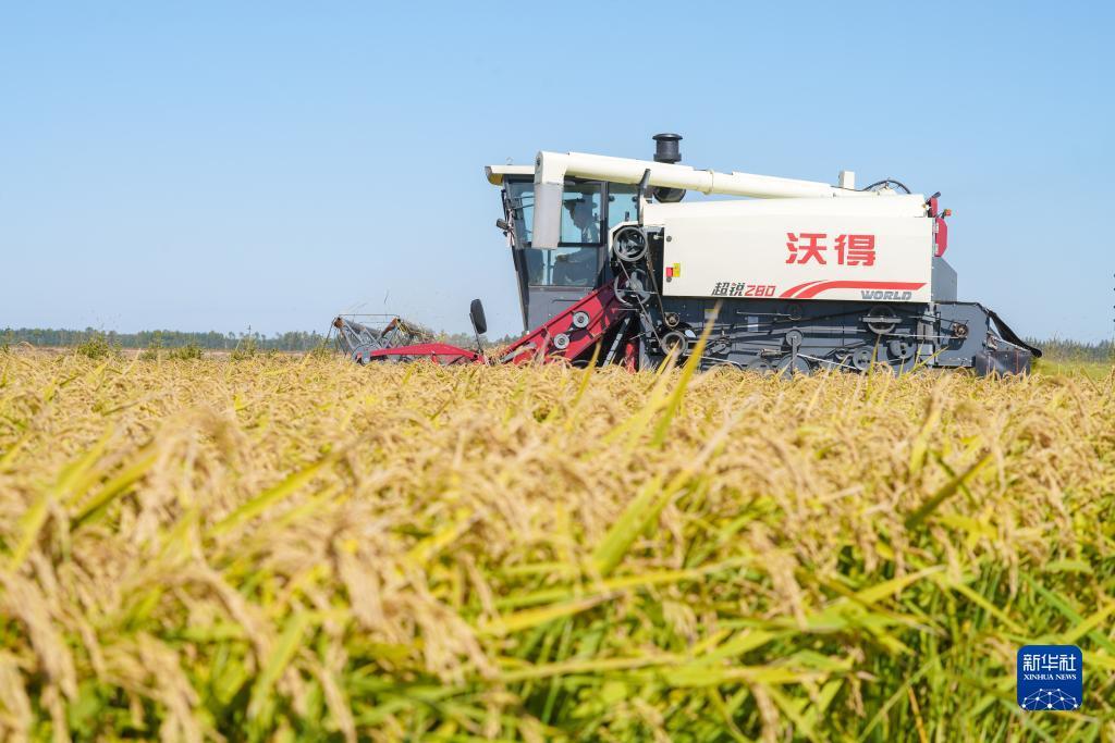 金沙4166充26送36